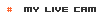 My Live Cam Shows!