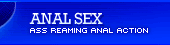 All - Anal Movies